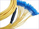 24 Fiber Breakout Optical Fiber Patch Cord PVC Jacket , Universal Fiber Optic Jumper supplier