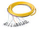 OM3 FC Optical Fiber Pigtail Cables 12 Core 24 Core for Communication Network supplier